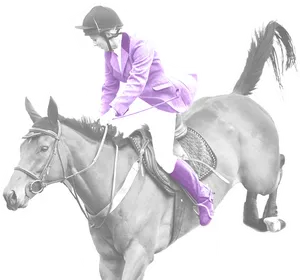 Equestrianin Purple Jacket Riding Horse PNG Image