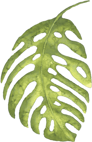 Este Gráficos Es The Green Banana Leaves Large Hand-painted - Leaf Large Png, Transparent Png PNG image with transparent background