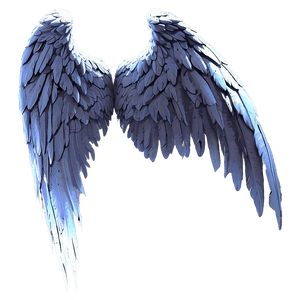 Ethereal Angel Wings Silhouette PNG ica89 PNG image with transparent background