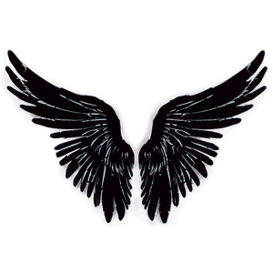 Ethereal Angel Wings Silhouette PNG mwa PNG image with transparent background