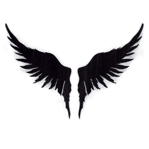 Ethereal Black Wings Silhouette PNG 19 PNG image with transparent background