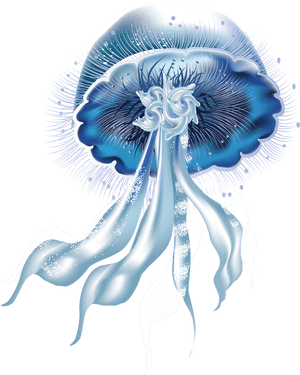 Jellyfish Png Picture - Jellyfish Png, Transparent PNG with transparent background