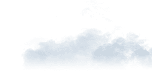 Tree, HD Png Download PNG image with transparent background
