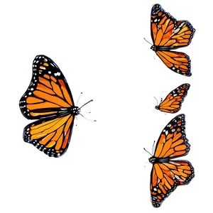 Ethereal Monarch Butterflies Png 06252024 PNG Image