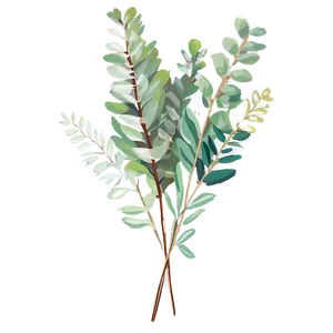 Eucalyptus Bouquet Png Yuo PNG Image