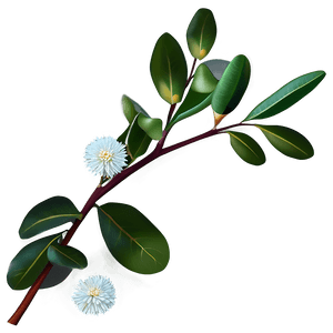 Eucalyptus Branch with Flowers PNG hvy PNG