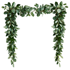 Eucalyptus Garland Decoration PNG 48 PNG