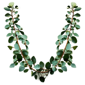 Eucalyptus Garland Decoration PNG lgb PNG