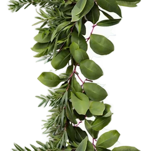 Eucalyptus Garland Png 06272024 PNG Image