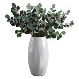 Eucalyptus in Vase PNG gsj76 PNG