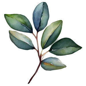 Eucalyptus Sprig Watercolor Png Rrn PNG Image