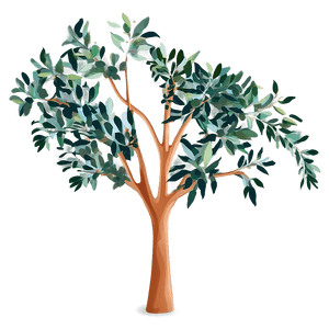 Eucalyptus Tree Silhouette PNG 05242024 PNG
