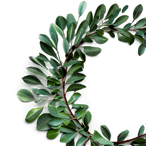 Eucalyptus Wreath PNG ika25 PNG