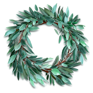 Eucalyptus Wreath PNG wcs PNG