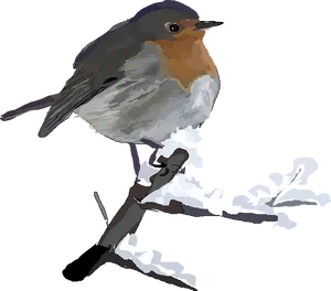 European Robin Illustration PNG Image