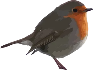 European Robin Illustration PNG Image