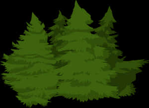 Evergreen Forest Illustration PNG image with transparent background