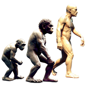 Evolution of Art PNG 06242024 PNG with transparent background