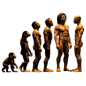 Evolution of Cinema PNG tnm86 PNG with transparent background