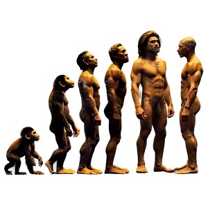 Evolution Of Cinema Png Tnm86 PNG Image