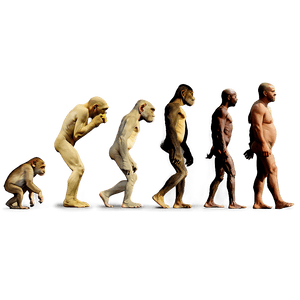 Evolution of Photography PNG 57 PNG with transparent background