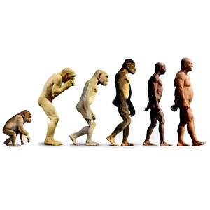 Evolution Of Photography Png 57 PNG Image