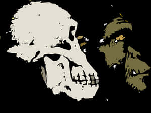 Evolutionary Transition Skull Art PNG with transparent background
