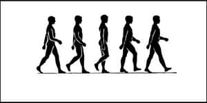 Evolutionof Man Silhouette PNG with transparent background