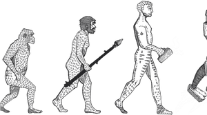 Level Up - Level Up Human, HD Png Download PNG image with transparent background