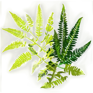 Exotic Fern Leaf Pattern Png Yfj PNG Image