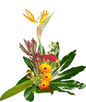 Exotic_ Floral_ Arrangement.png PNG Image