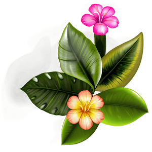 Exotic Flower Transparent PNG yti PNG