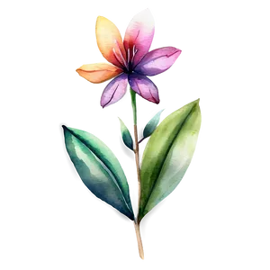 Exotic Flower Watercolor Png Bem PNG Image