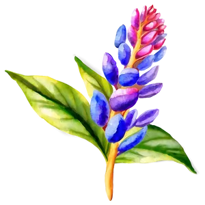 Exotic Flower Watercolor Png Dbn PNG Image