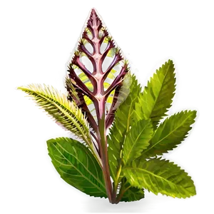 Exotic Herb Png Bwm PNG Image