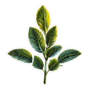 Exotic Herb PNG pbp PNG with transparent background