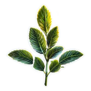 Exotic Herb Png Pbp PNG Image