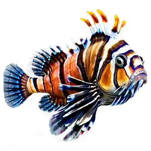 Exotic Lionfish Png Hfq PNG Image