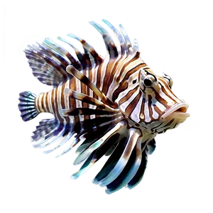 Exotic Lionfish Png Huk92 PNG Image