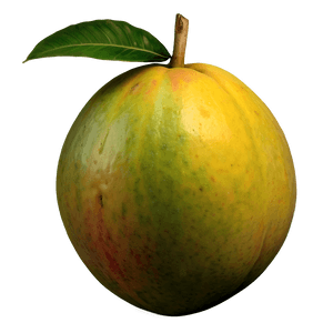 Exotic Mango PNG nmn PNG image with transparent background