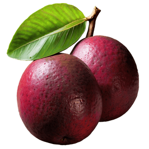 Exotic Mango PNG rvf PNG image with transparent background