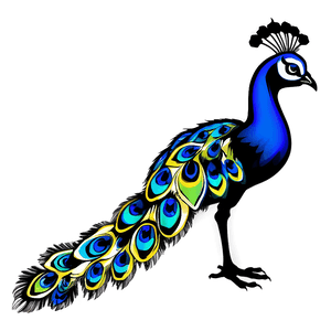 Exotic Peacock Silhouette PNG bep PNG image with transparent background