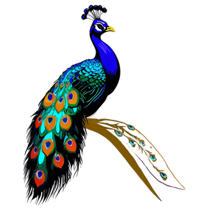 Exotic Peacock Silhouette PNG pfe9 PNG image with transparent background