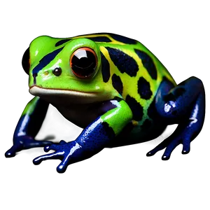 Exotic Poison Dart Frog Png Byx PNG Image