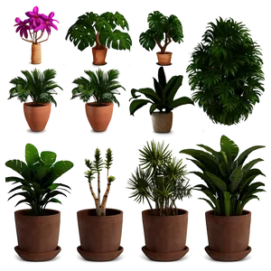 Exotic Potted Plants Collection Png 06122024 PNG Image