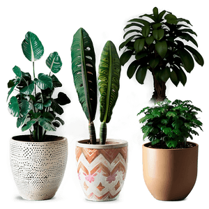 Exotic Potted Plants Collection PNG 72 PNG