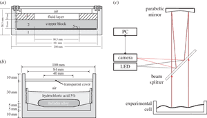 Cross Sections Of The Experimental Cells Used - Fluid PNG image with transparent background