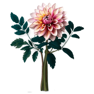 Exquisite Dahlia Bouquet PNG pjy33 PNG image with transparent background
