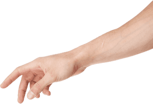 Download Arm Png Clipart - Transparent Arm Png, Png Download PNG