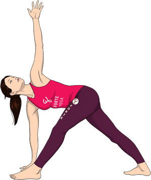 Parivrtta Trikonasana Forte Yoga, HD Png Download PNG with transparent background